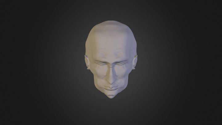 TOTAs 3D Model