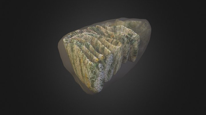 mitocondria teste 01 3D Model