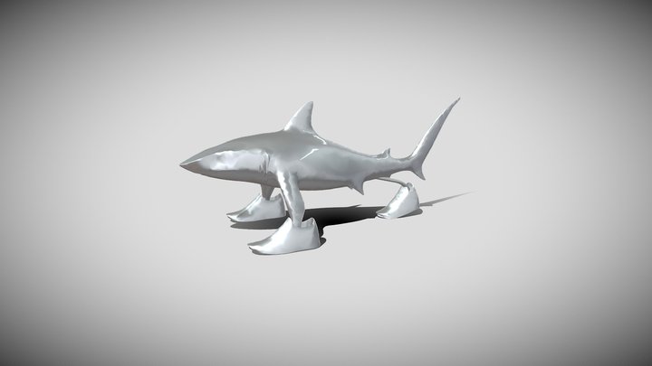 Tralalero Tralala 3D Model