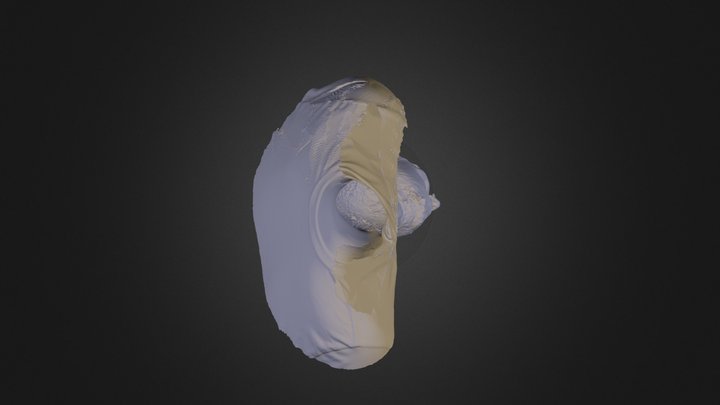 Derek Hawn - 3D Laser Scan 3D Model