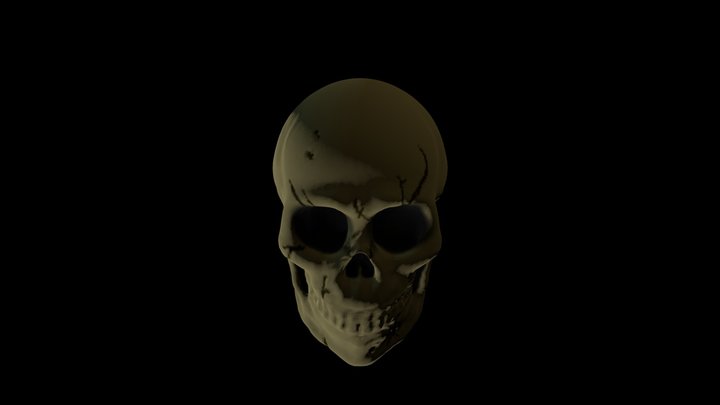 skull - first model 3D Model