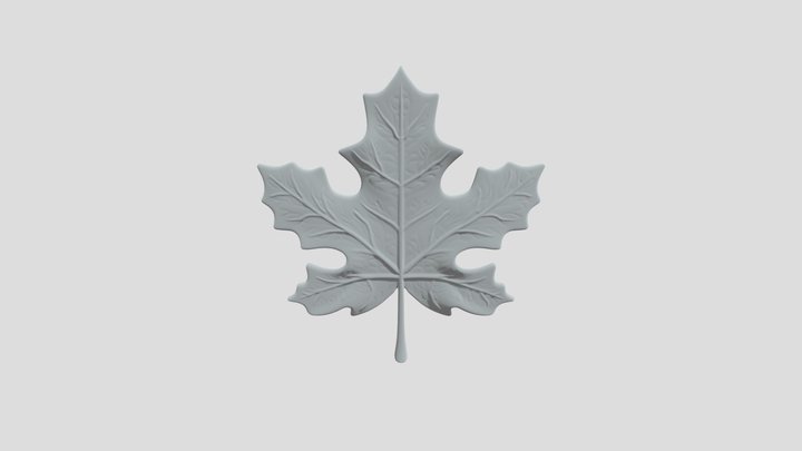 kbcn 3D Model