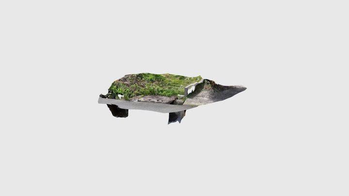 問田盃状穴 3D Model
