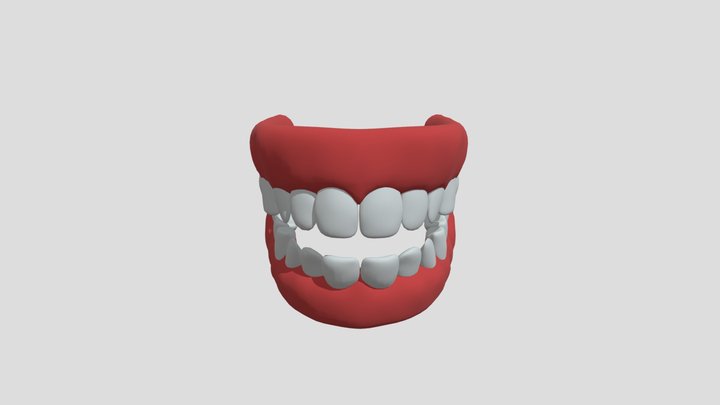 Human teeth 3D Model
