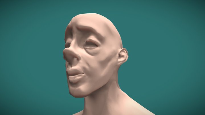 Untitled (Bust) 3D Model