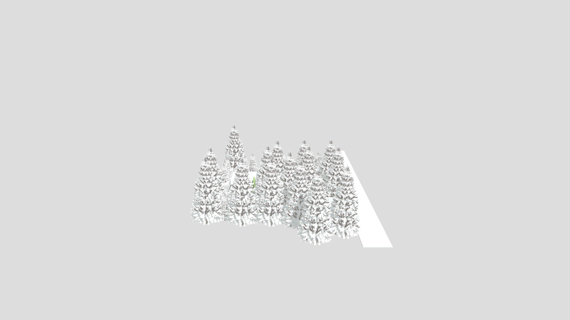 Moutain home