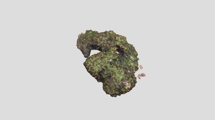 Moss 3D Model