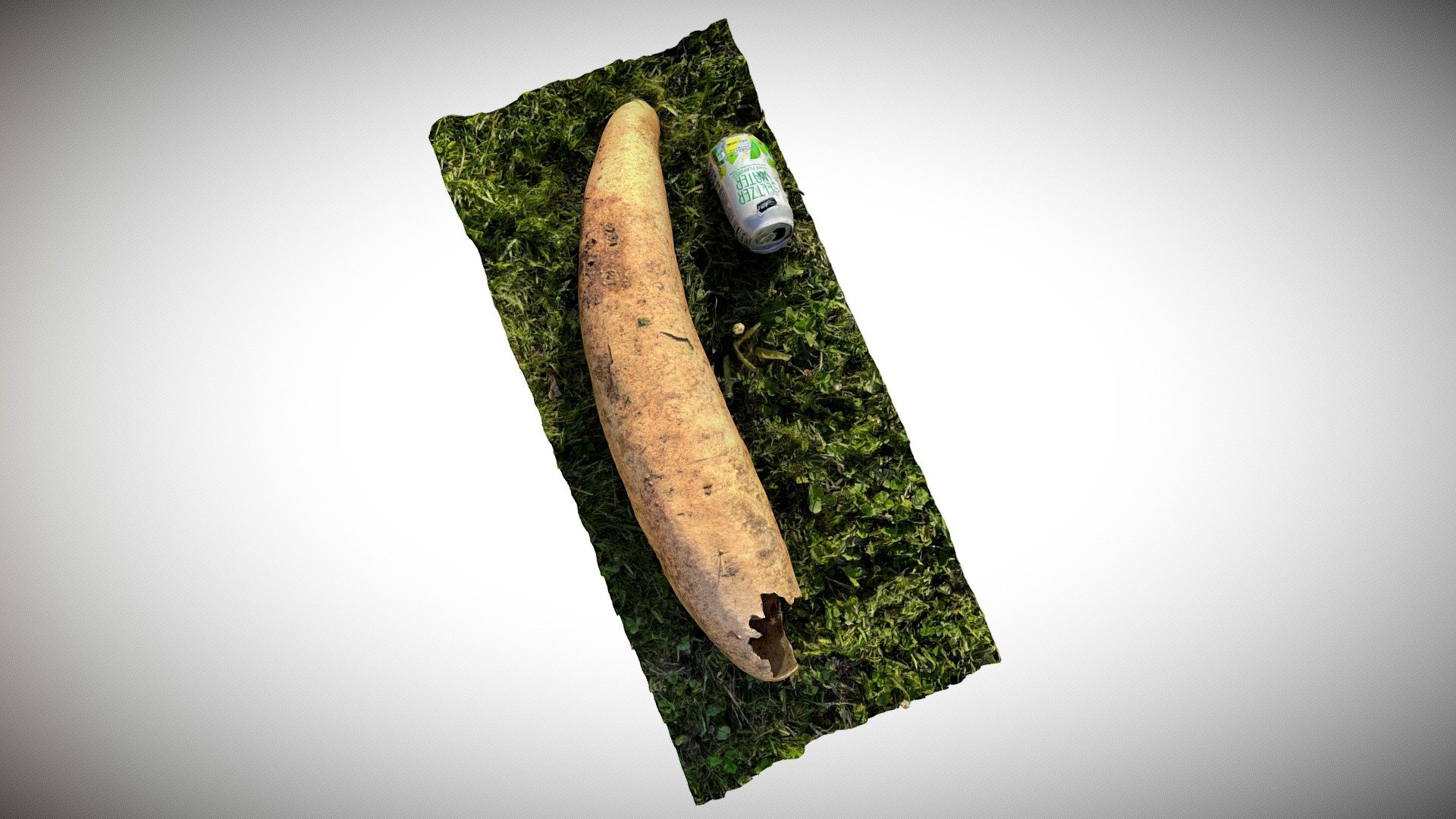 Weird Gourd