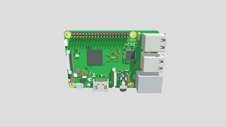 Rasp 3D Model