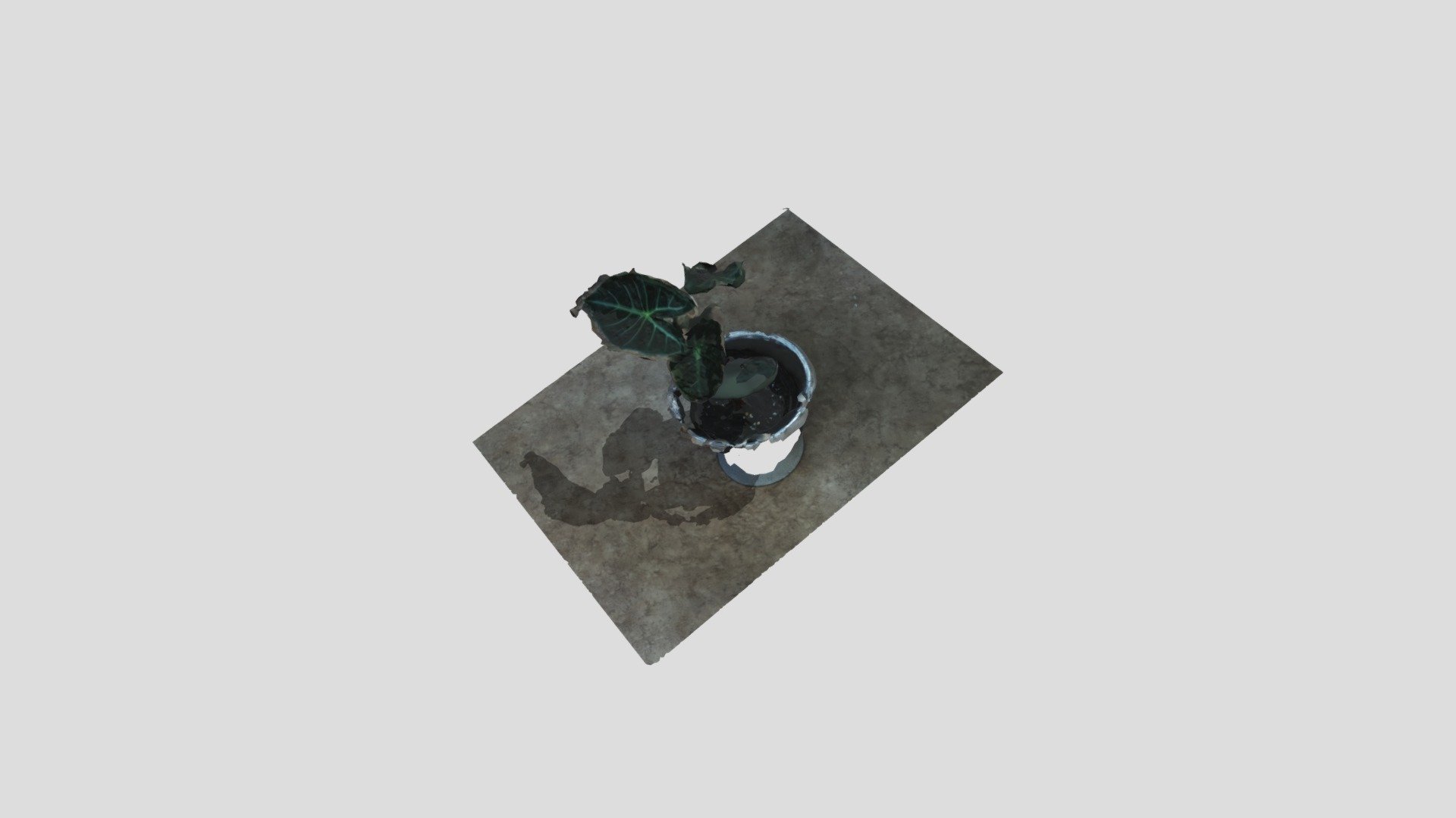 First Model - 3D model by oddbjornlarsen [d3e5c45] - Sketchfab