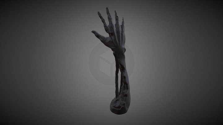 Undead Arm 3D Model