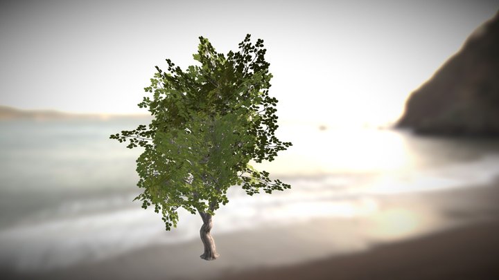 Realistic Tree Models 3D Model