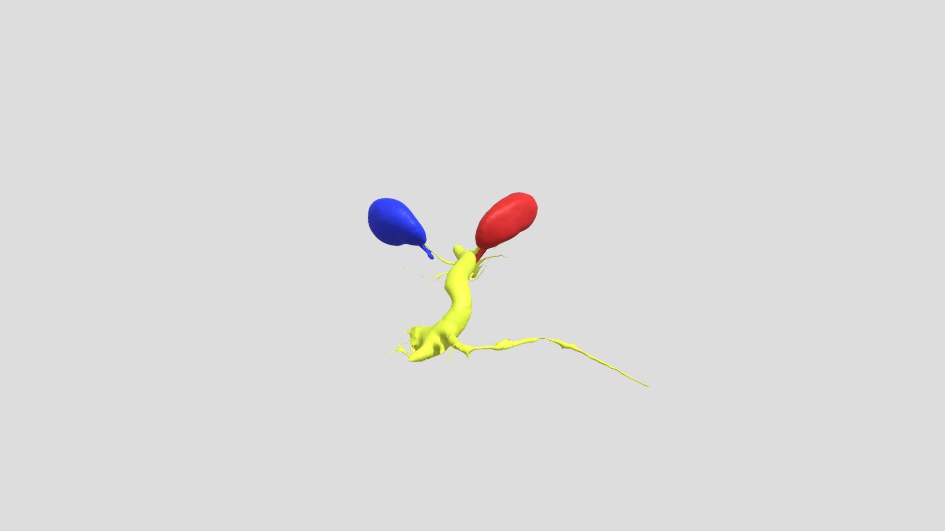 Segmentation