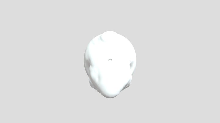 My model 3D Model