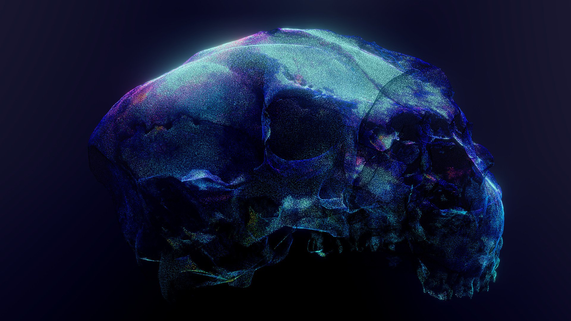 Deer skull - Found sculpture Böhmsdorf II