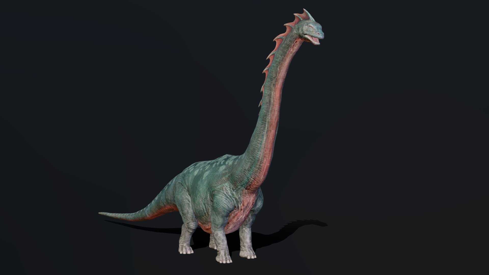 brachiosaurus 3d view