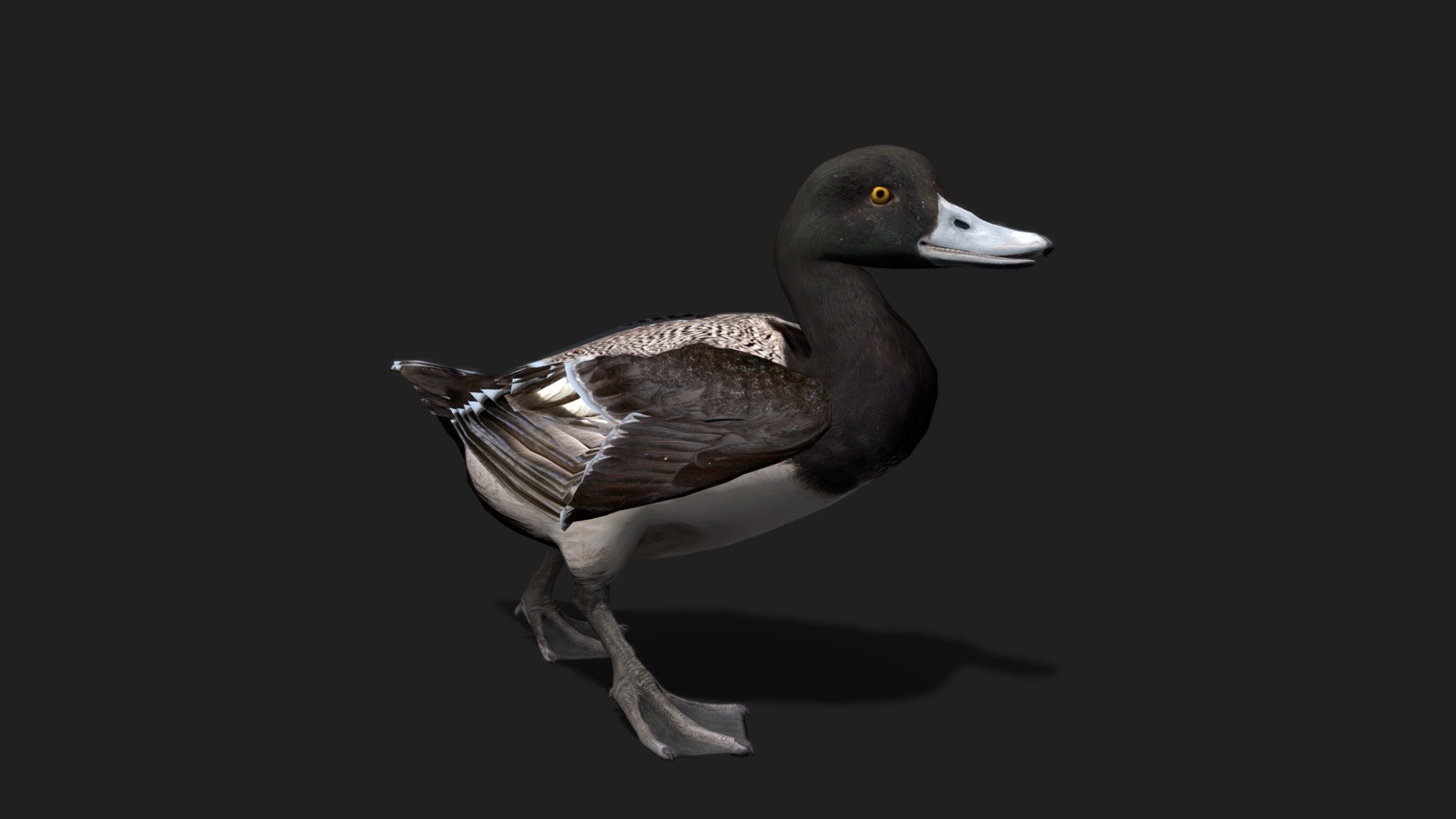 Realistic Goose 3D Model 2.0 - 3D model by WildMesh 3D (@WildMesh_3D ...