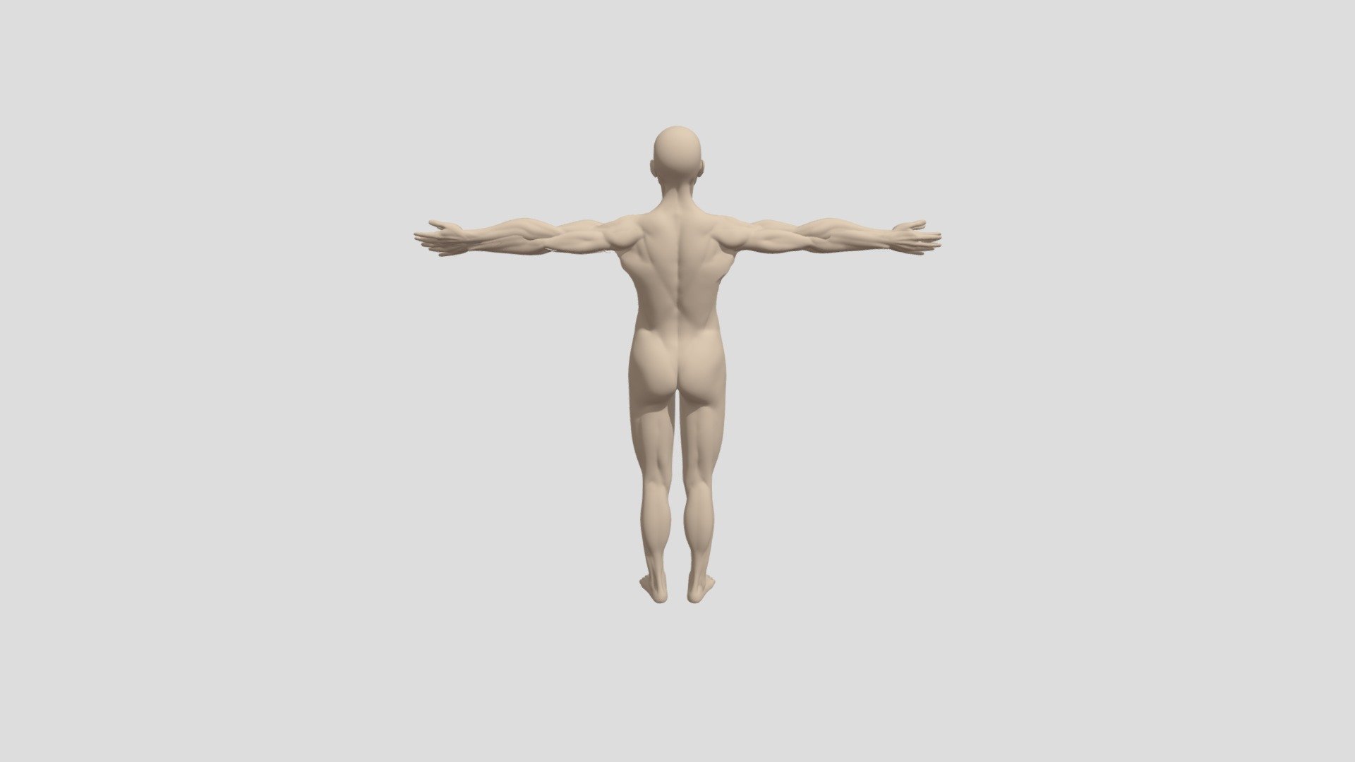 AnatomiaHumana