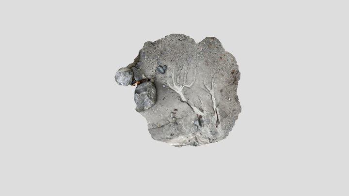 ais 3D Model