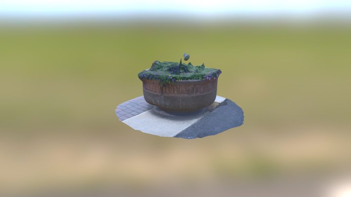 Flower Scanning test 3D Model