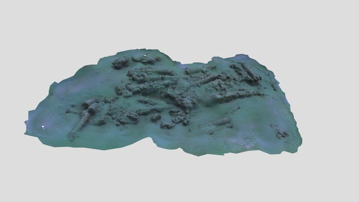 BHG2 Kanonnenwrak situ 26-10-2024 3D Model