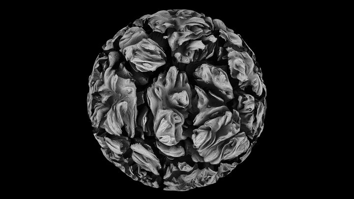 CellularForm 17 0007 0025 2 3D Model