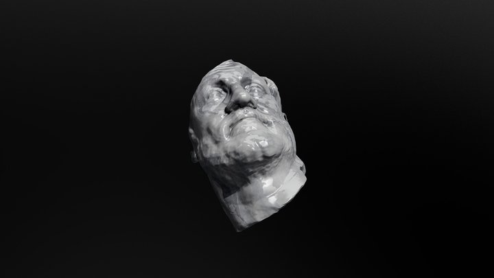 Beard 2 3D Model