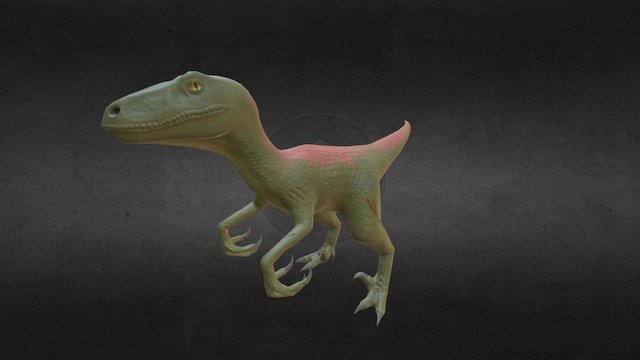 Velociraptor 3D Model