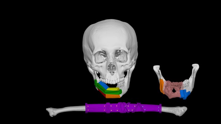 余O沛 3D Model