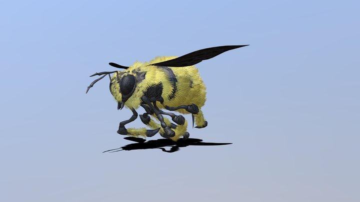 Bee