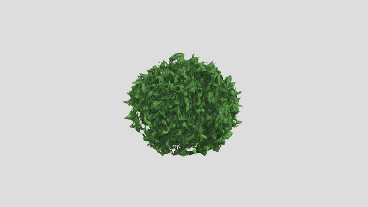 privet bush leaf are more detailed and realistic 3D Model
