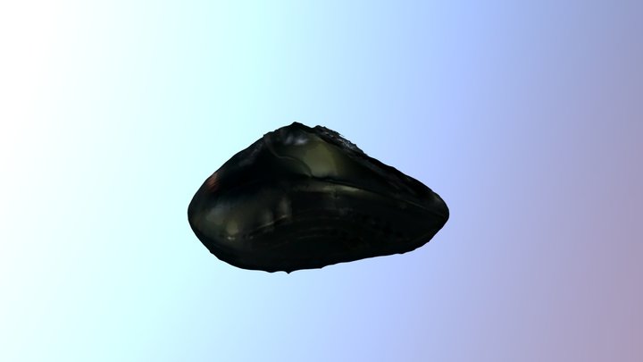 Computer Mouse 3D Model