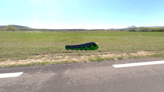 PJonesBUG 3D Model