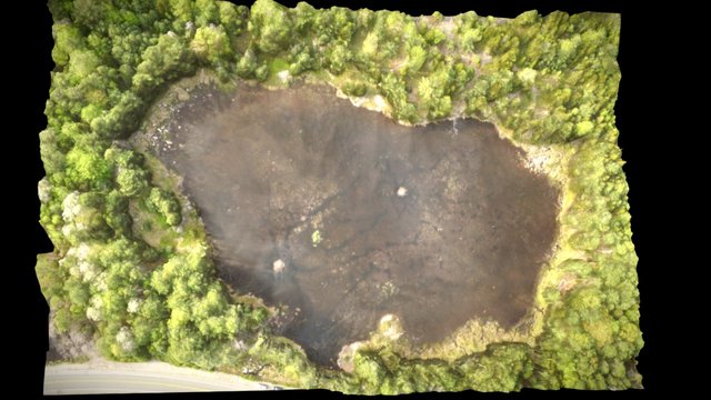 Pond 3D Model