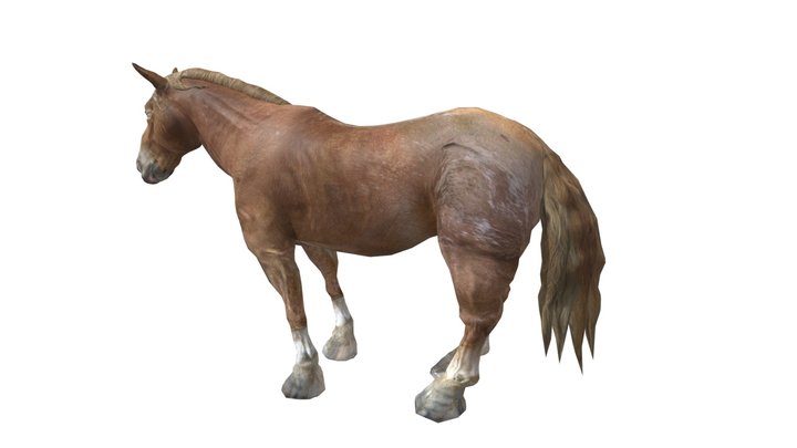 Horse 3d model free download: Rigged 3D Model
