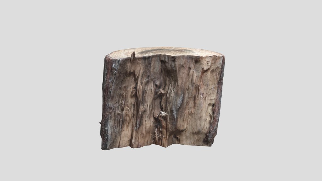 Cutted Stump