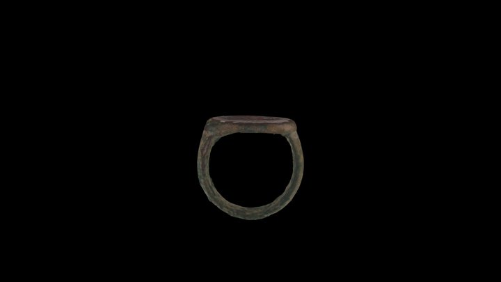 Seal Ring 3D Model