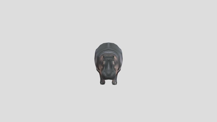 HIPPOPOTAMUS