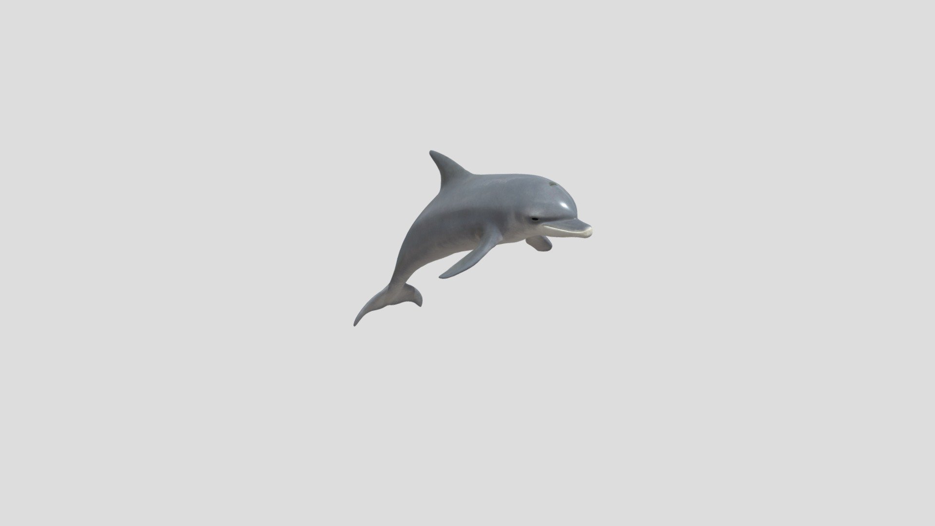 Dolphin - 3D model by fatonahumi25 [d41c2a9] - Sketchfab