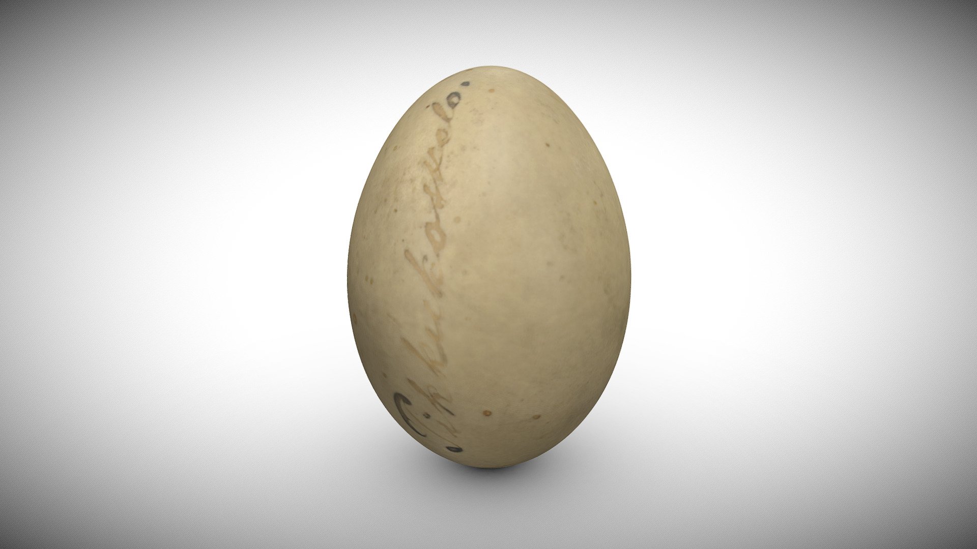 Red-breasted Merganser's Mergus serrator Egg
