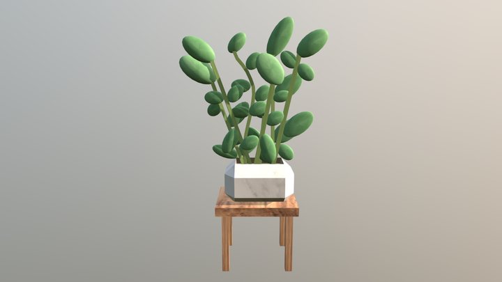 Circular Leaf Plant - CGT 116 3D Model