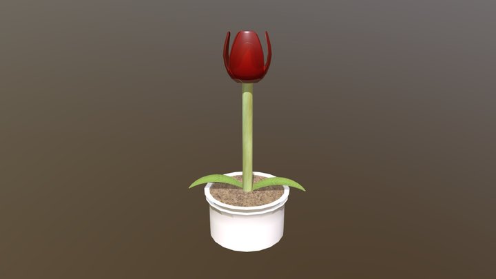 Tulip Improvements 3D Model