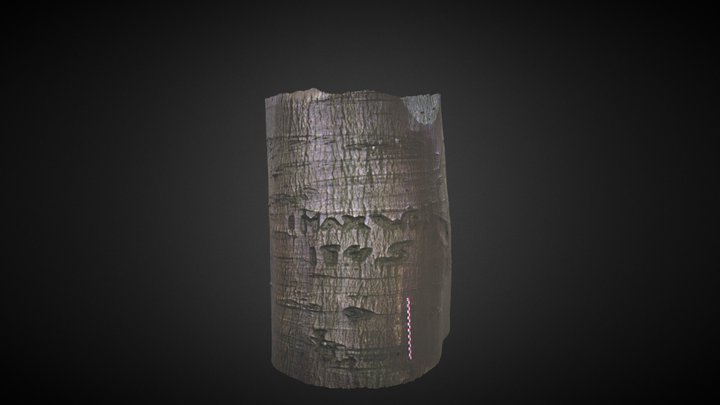 Arbre 12, Lillebonne, Normandie 3D Model