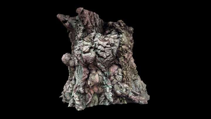 New Forest Fir Tree – Modelo 3D gratuito STL