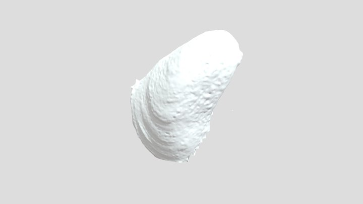 ZHB7 3D Model