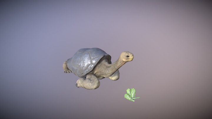 Solitario George + Anim 3D Model