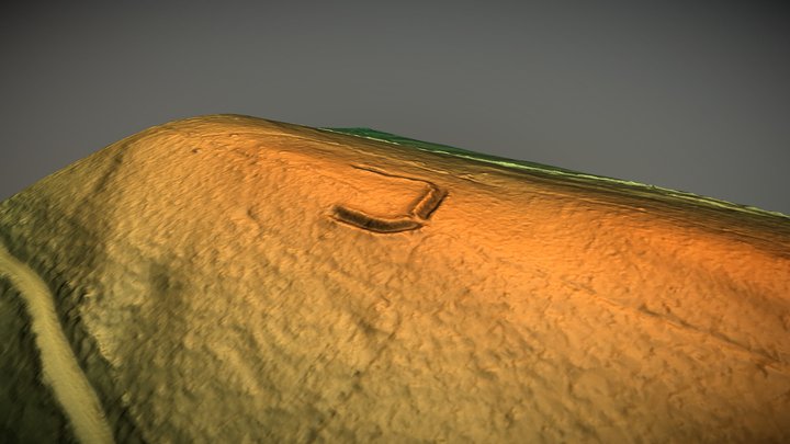 Radnor Wood, Shropshire (UK) – Free 3D Model STL