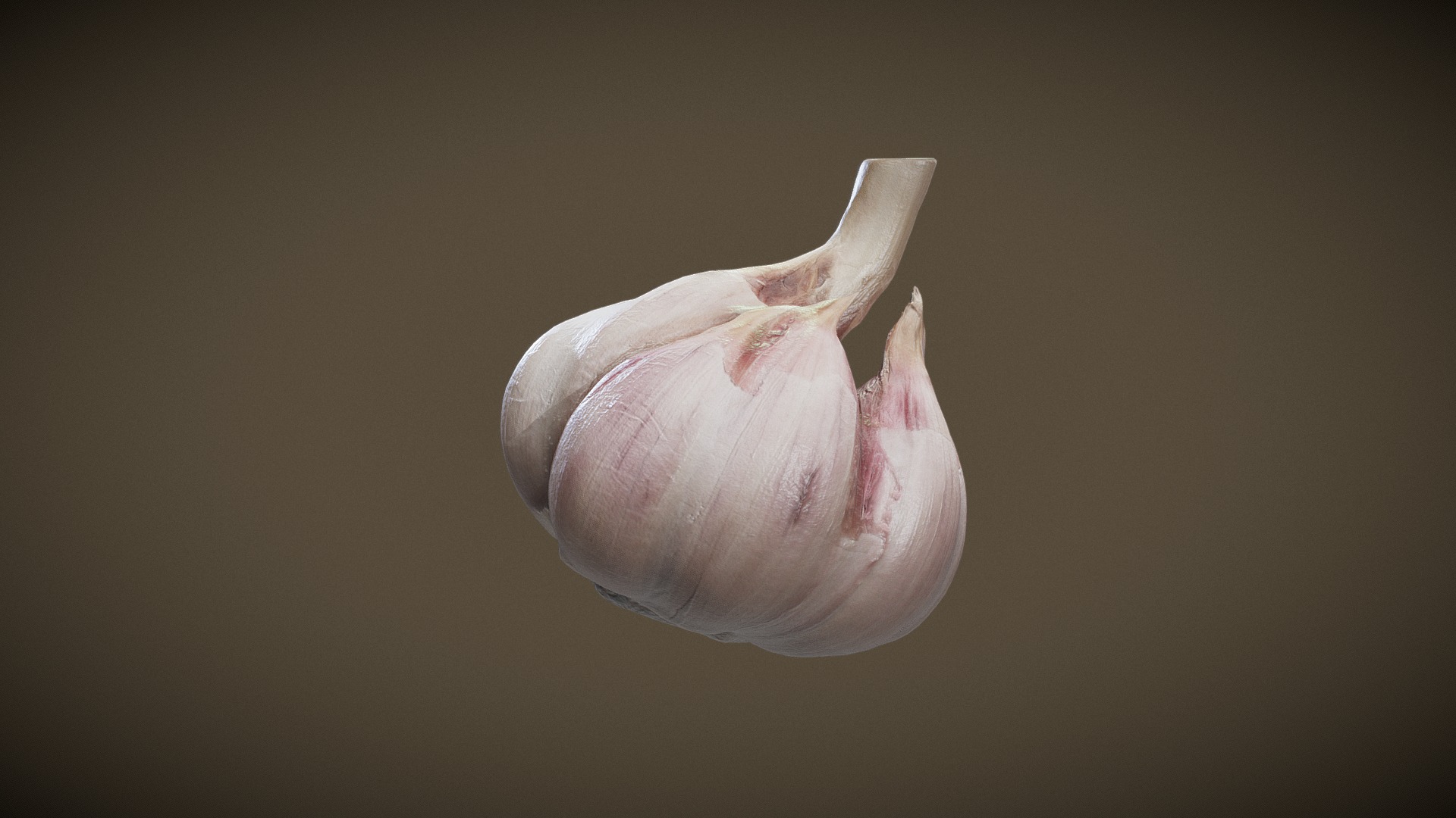 3D model GARLIC - This is a 3D model of the GARLIC. The 3D model is about a close up of a flower.
