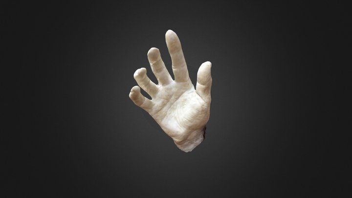 A. T. Still's Hand 3D Model