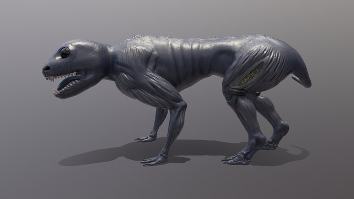 Mons 3D Model